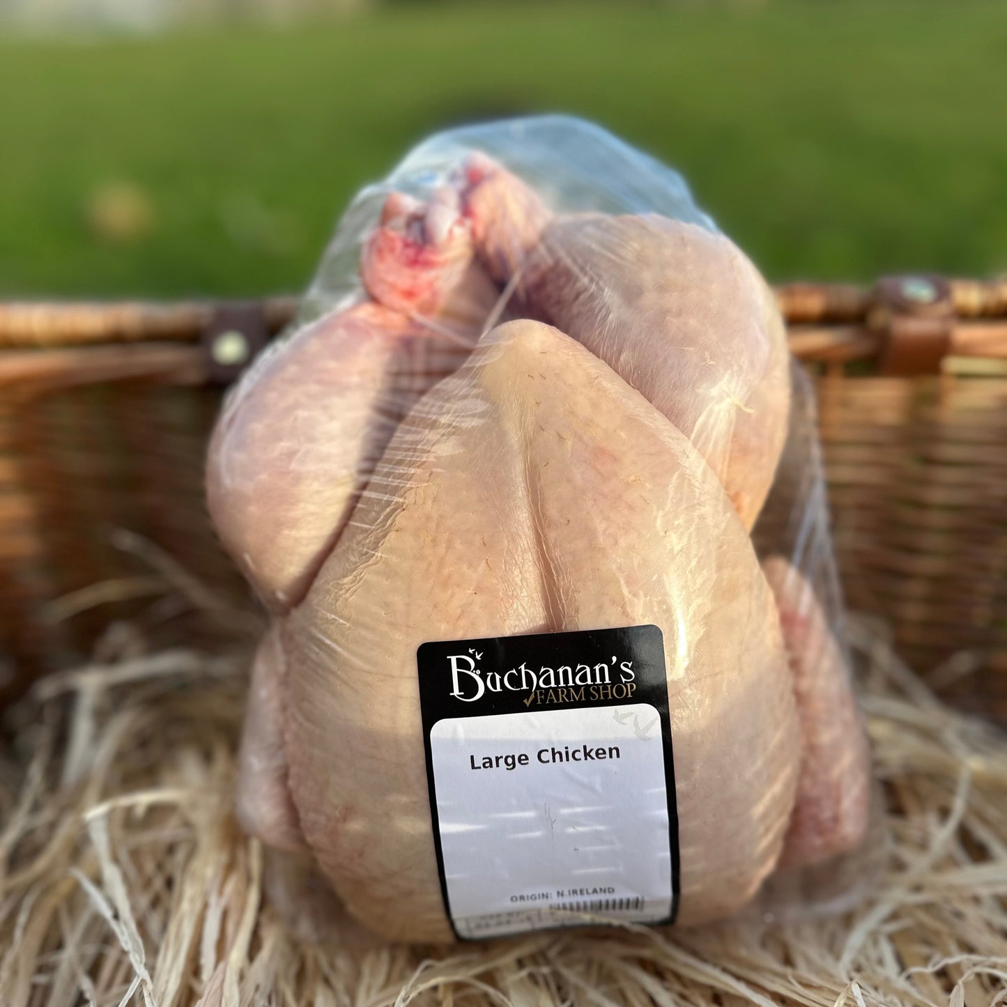 Local Whole Chicken
