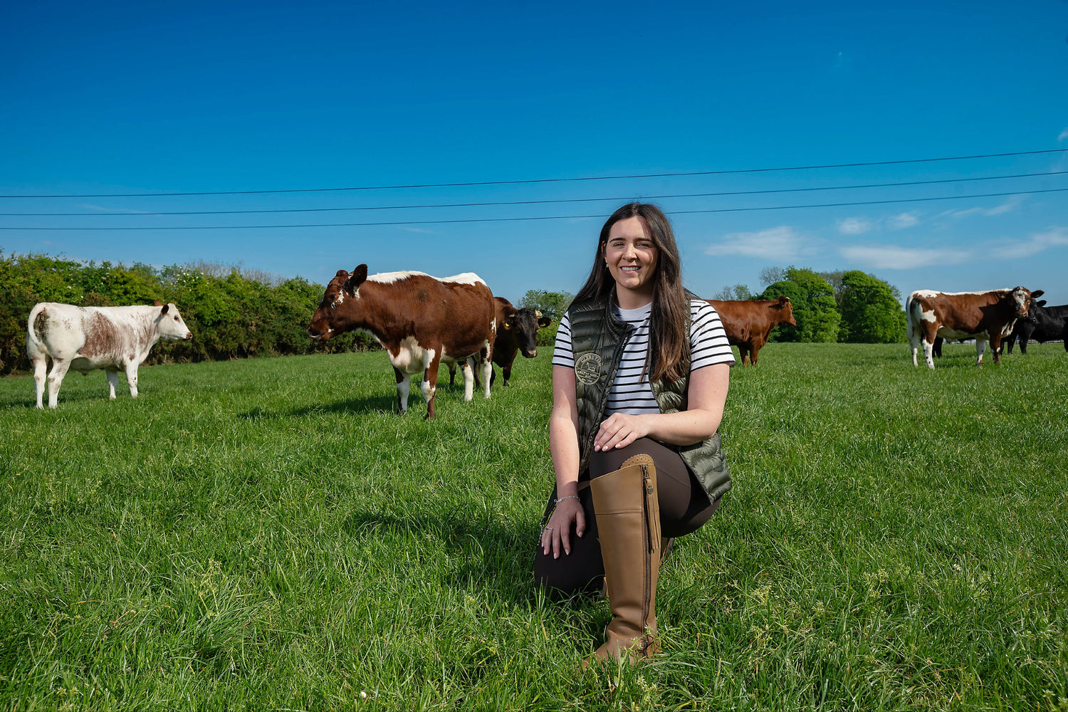 Nicole, Owner of Glebe Farm Shop in field surrounded by Irish Moiled Cows